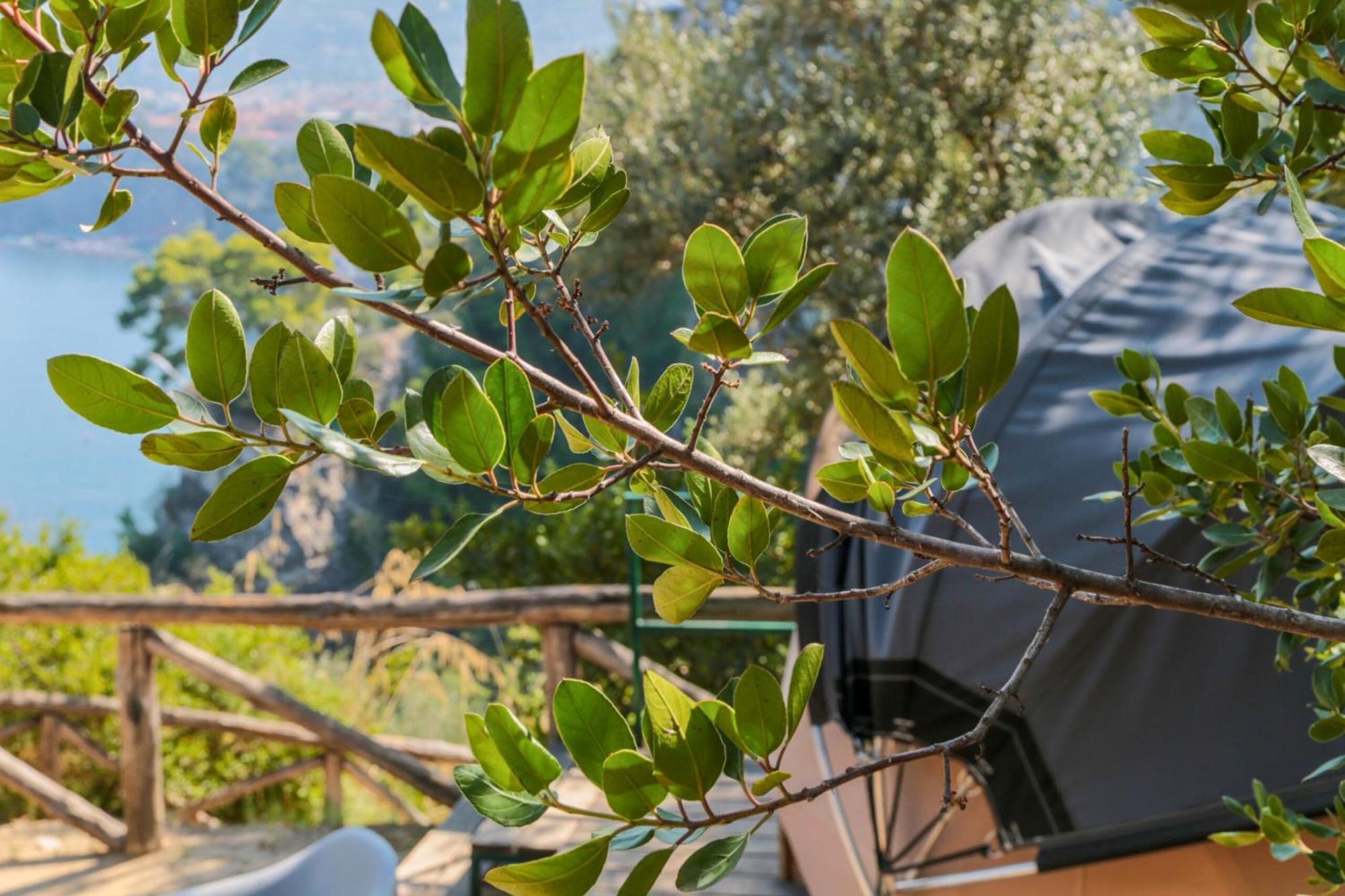Hostel & Glamping Santa Fortunata Sorrento Dış mekan fotoğraf